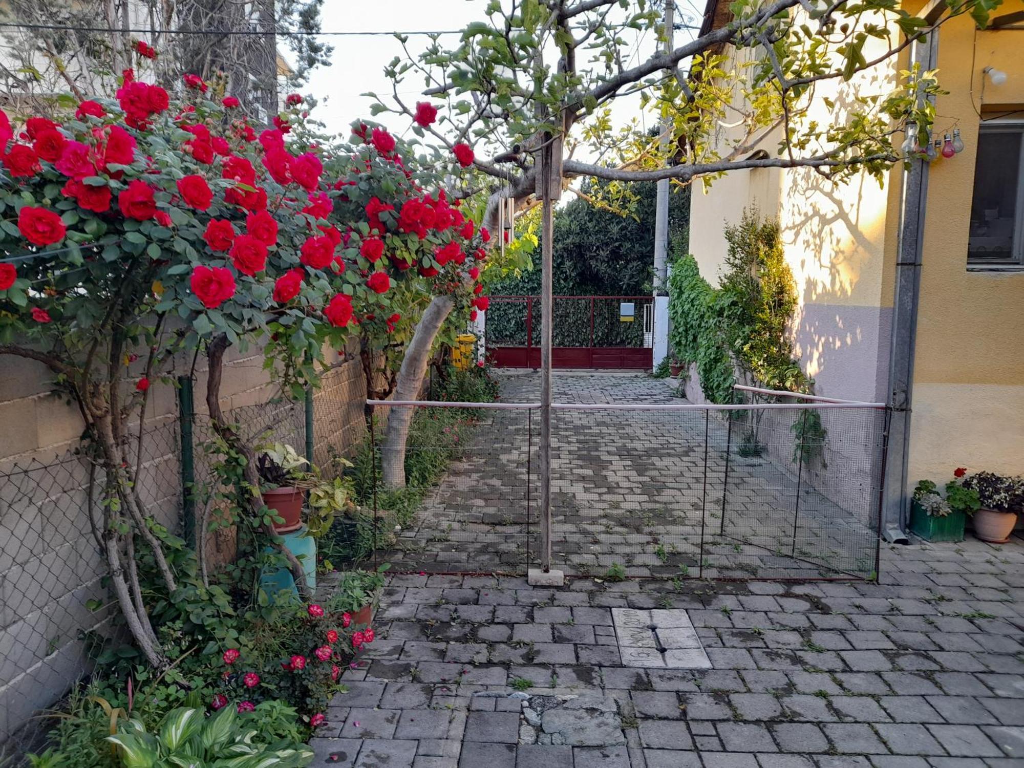 Klara Rooms Gevgelija Exterior foto